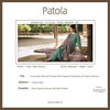 Patola By Kesar Viscose Jam Satin Printed Dress Material Wholesale Online
